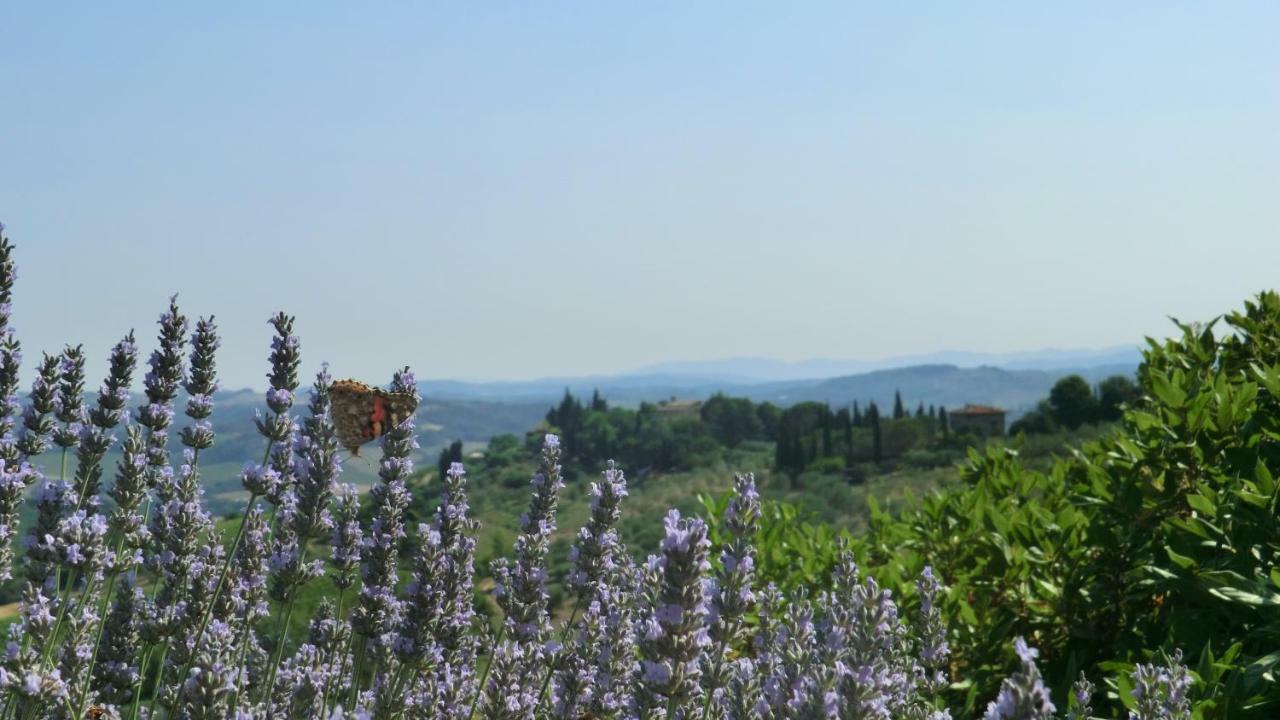 Appartamenti Ava E Tegrino Nell'Antica Dimora Di Fulignano San Gimignano Eksteriør billede