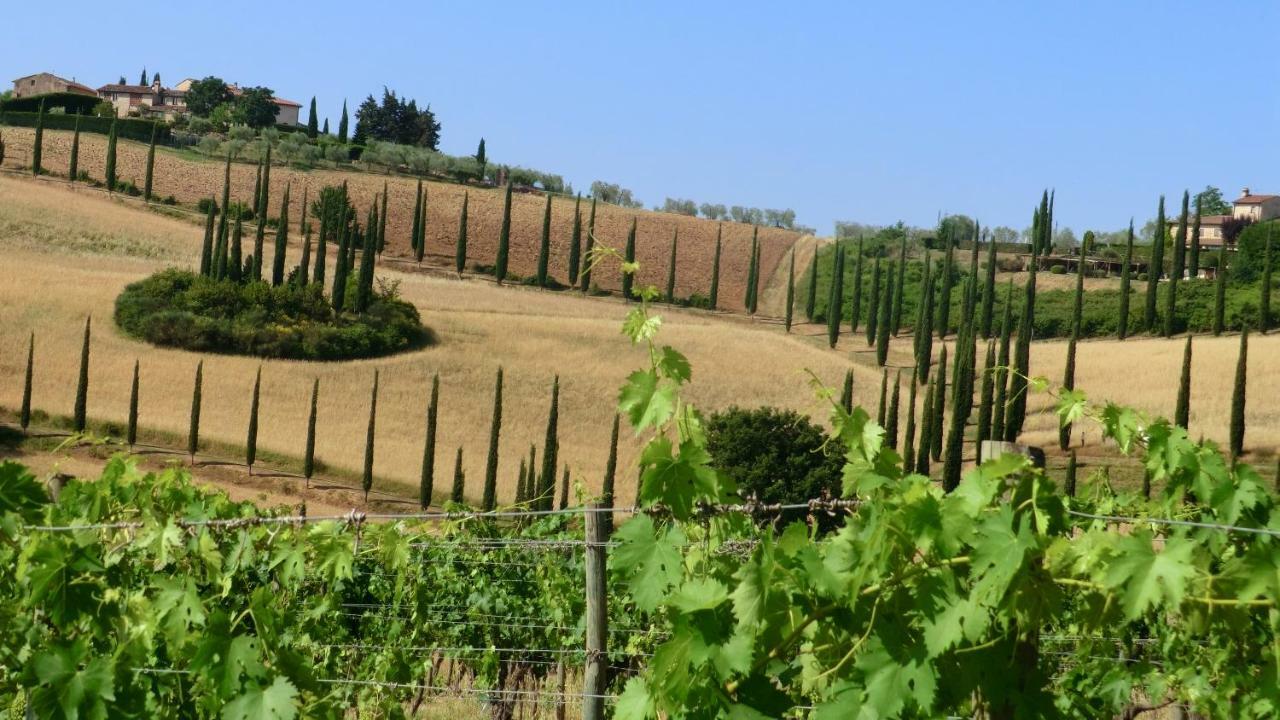 Appartamenti Ava E Tegrino Nell'Antica Dimora Di Fulignano San Gimignano Eksteriør billede
